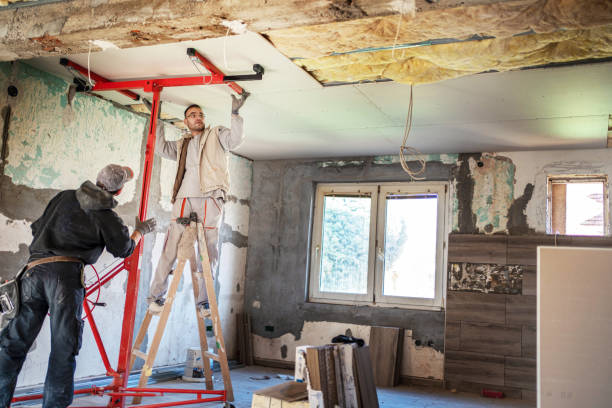 Best Insulation Installation Services in Hermantown, MN